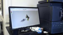 Una computadora muestra los resultados de un análisis de pescado