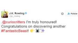 Tuit de JK Rowling