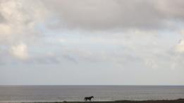 Paisaje Isla de Pascua