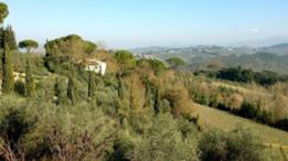 Colinas de San Casciano