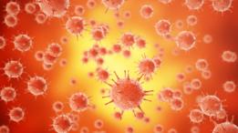 Virus