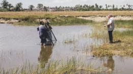 Imagen tomada en Jaboatão dos Guararapes, Pernambuco, Brazil, 2015, en una de las zonas donde la esquistosomiasis es endémica