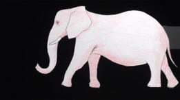 Elefante rosa