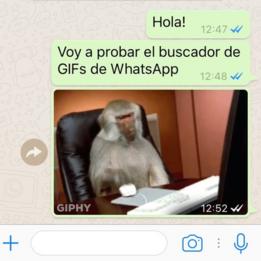 WhatsApp: Como criar, buscar e enviar GIFs animados pelo aplicativo - BBC  News Brasil