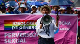 Marcha contra la ideología de género en Lima
