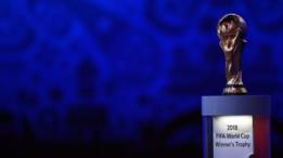 Trofeo de la FIFA
