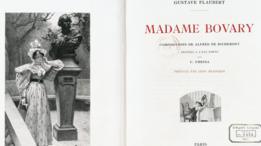 Madame Bovary libro