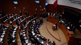 El Senado de México exigió castigar a los agresores de su compañera.