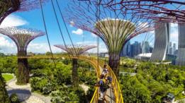 Singapur