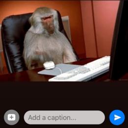 GIF