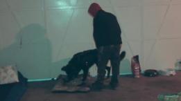 Rubén y su perro, Mundo