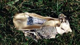 حملت هذه الصورة من الصور التي نشرها مكتب التحقيق الفيدرالي الأمريكي عنوان 