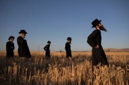 judíos ultraortodoxos