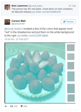 Foto de fresas con paleta de colores.