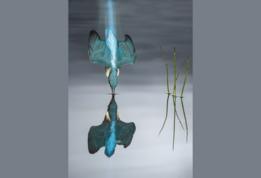 El sendero azul por Mario Cea, España