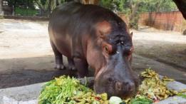 Gustavito comiendo sus vegetales.