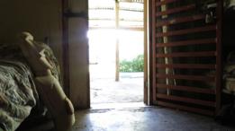 Escultura rapanui hecha por prisioneros.