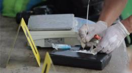 Todos los países de Centroamérica padecen la guerra contra las drogas de México.