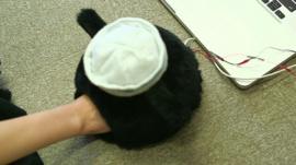 Device allowing a long distance scratch from your cat