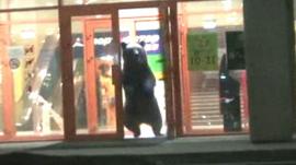 A bear escapes out of the door of a shopping mall