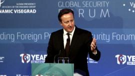 Prime Minister David Cameron