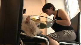 Cat and woman share a table at Vienna's Cafe Neko
