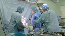 Operation