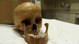 skull on a table