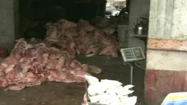 Meat stored in unsanitary conditions