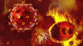 HIV virus