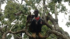 A khat picker in Meru, Kenya