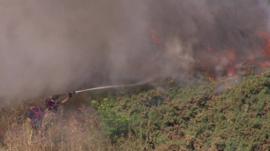 Fire fighters tackling grass fire in south London