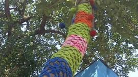 Knitted tree in Sao Paulo, Brazil