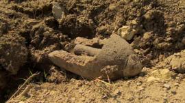 Unexploded shell