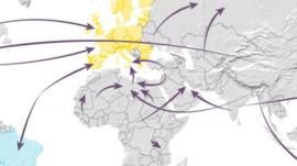 Some of the world's many migration routes