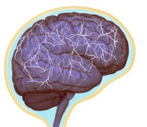 Vasos linfáticos en el cerebro