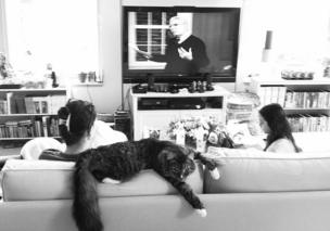 Cat in a living room