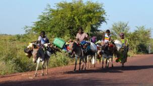الحفاظ على الحياة البرية في مالي