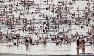 Spencer Tunick