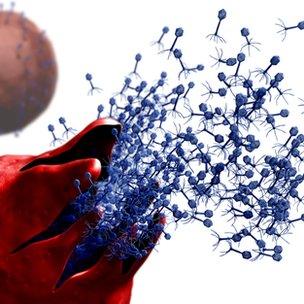 _66413365_c0147229-bacteriophages_leaving_host_cell,_artwork-spl.jpg