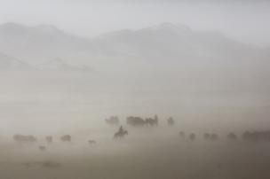 Dust storm in the Altai Mountains, Mongolia - copyright Timothy Allen