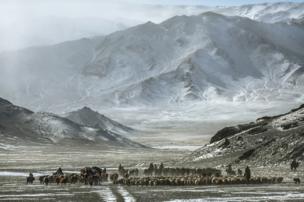 Herding animals through the snowy Altai Mountains in Mongolia - copyright Timothy Allen
