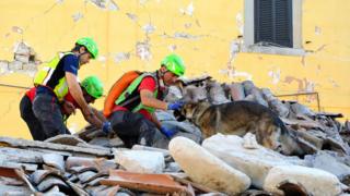 Rescatitas en un terremoto
