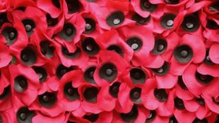Poppies