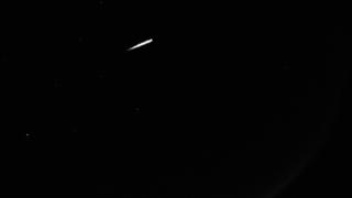 orionids