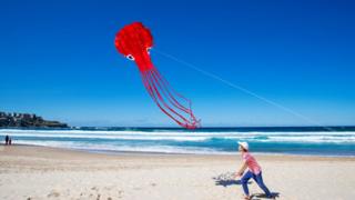 squid-kite