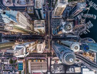 Concrete Jungle by Bachirm