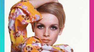 Twiggy.