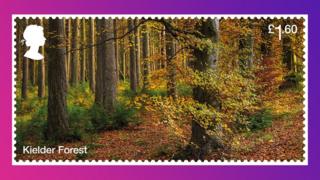kielder-forest-stamp.