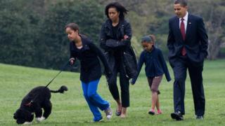 One of the first things the Obama girls did when they moved into the White House was get a dog. President Obama said in his victory speech that he had promised to buy them a puppy, so they bought Bo, a Portuguese water dog.